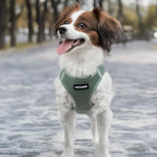 Best Pet Supplies - Image 7