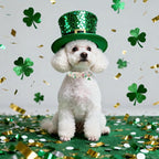 St Patricks Day Dog Collar for Medium Dogs - Image 6