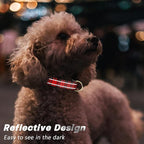 Reflective Dog Collar for Small Dogs, Cute Boho Adjustable Heavy-Duty Nylon - Image 3