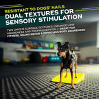 FitPAWS Balance Ramp | Dog Agility Equipment - Image 3