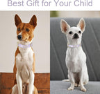 Nylon Dog Collar - Image 3