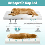 Dog Crate Bed for Large Size Dogs, Rectangular Orthopedic Dog Beds, Foam - Image 2