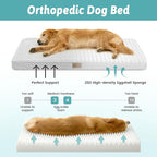 Dog Bed for Extra Large Dogs, Rectangular XL Orthopedic Dog Beds, Foam - Image 2