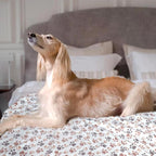 Dog Blankets for Large Dogs, Soft Fluffy Flannel Pet Blanket Mat Cover for Bed - Image 5