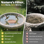 NNG 1 Pack Bird Bath Copper Disk, 1mm Thick Reinforced 99.9% Pure Copper Bird - Image 2