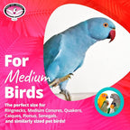Super Bird Creations SB324 Colorful Cotton Rope Bungee Bird Toy, Medium Bird - Image 3