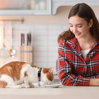 Baeuppit 2PCS Breakaway Cat Collars - Image 2