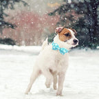 Dog Collar, Bow Dog Collar Blue Bear Pattern Pet Collar Dog Cute Bow Tie Soft - Image 5