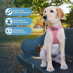 Best Pet Supplies Voyager Step-in Air All Weather Mesh Harness and Reflective - Image 5