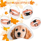Fall Dog Collar, Cute Football Pattern Puppy Collar - Image 5