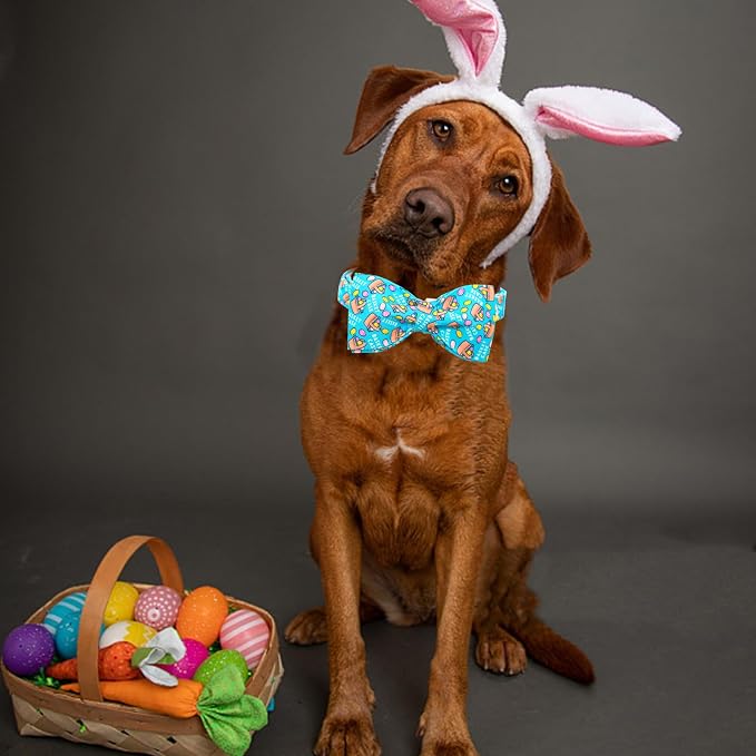 Lionheart Glory Easter Dog Collar - Image 5