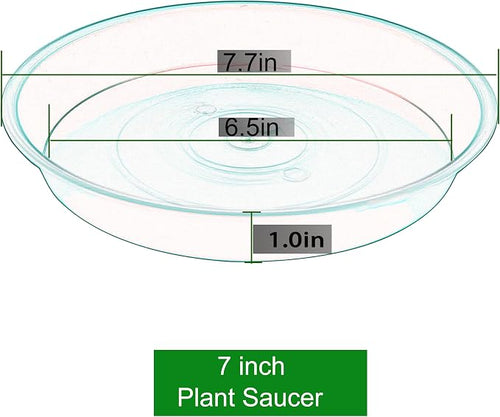 6 Pack of 7 inch Plant Saucer Clear, Heavy Duty Plastic Plant Water Tray 7 inch - Image 2