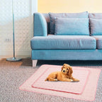 Washable Dog Cooling Mat Ice Silk Cooling Mat - Image 4