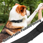 Tactical Dog Collar with Handle, Military Adjustable Heavy Duty Metal Buckle - Image 5