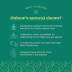 Oxbow Enriched Life Natural Dangly Party Pack, Rabbit Toys, Guinea Pig Toys - Image 4