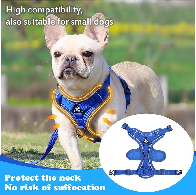 Escape Proof Kitten Harness and Leash Set - Image 4