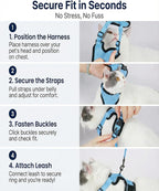 Luxelle 2 Pack Escape-Proof Cat Harness and Leash Set - Image 5