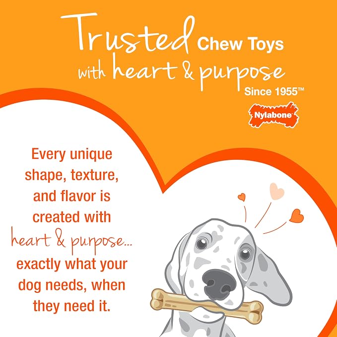 Nylabone Textured Dental Bone Flexi Chew Toy - Image 12
