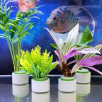 12 Pack Aquarium Plant Weights, Aquatic Plants Fixed Ring Set, Anti-Floating - Image 5