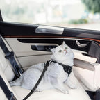 Cat Harness and Leash Set for Walking Escape Proof, Improved Four Place - Image 4