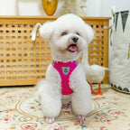PUPTECK Adjustable Dog Harness Collar and Leash Set Step in No Pull Pet Harness - Image 5