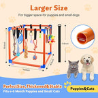 Puppy Play Gym for Small Dogs - Image 2