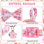 KOOLTAIL Spring Cat Collar - Image 4