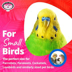 Super Bird Creations SB586 X-mas Star Bird Toy, Small Bird Size, 4.5" x 3" - Image 2