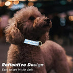 Reflective Dog Collar for Small Dogs, Cute Daisy Theme Adjustable Heavy-Duty - Image 3