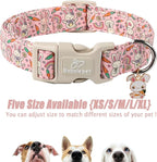 Easter Dog Collar for Medium Dogs - Image 6