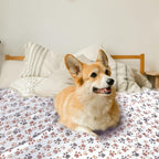 Dog Blankets for Medium Large Dogs Washable, 3 Pack Pet Blanket Washable 41" x - Image 3