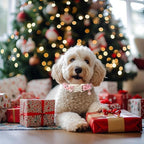 Christmas Dog Collar - Image 2