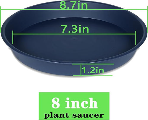 6 Pack of 8 inch Plant Saucer Blue, Plastic Plant Water Tray 8 inch Round - Image 2