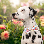 Lionheart glory Dog Collar Bow Collar Floral Dog Collar - Image 4