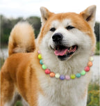 Hosiwei Dog and Cat Rainbow Beads Collar Necklace, Faux Pearls Necklace Pet - Image 4