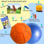 Herding Ball for Dogs, Dual Layered Herding Dog Ball Set for Australian Shepherd - Image 4
