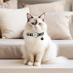 2 Pack QR Code Cat Collar with Instant Lost Pet Recovery System, Scan - Image 4