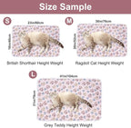 Dono 1 Pack 3 Blankets Soft Fluffy Paw Print Pattern Fleece Pet Blanket Warm - Image 2
