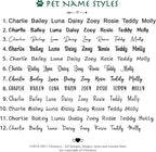 Ultra Joys Dog Tags Personalized - Image 5