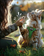 FAYOGOO Cat Harness and Leash Set | Upgrade Step-in Escape Proof Harness | - Image 7