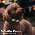 Reflective Dog Collar for Extra Small Dogs Cats, Cute Leopard Style Adjustable - Image 3