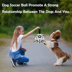 Dog Soccer Ball, Interactive Toys - Image 5