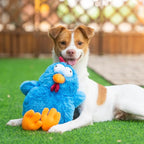 Best Pet Supplies Squeaky Dog Toys - Image 6