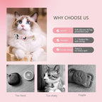 3-Pack, Double Protection Cat Collar: QR Code ID & Airtag Holder! Breakaway - Image 6