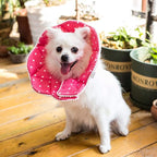 Adjustable Dog Cat Cone, Soft Recovery Cat Cone Collar, Dog Protective Collar - Image 6