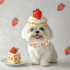 Strawberry Dog Collar for Large Dogs - Image 7