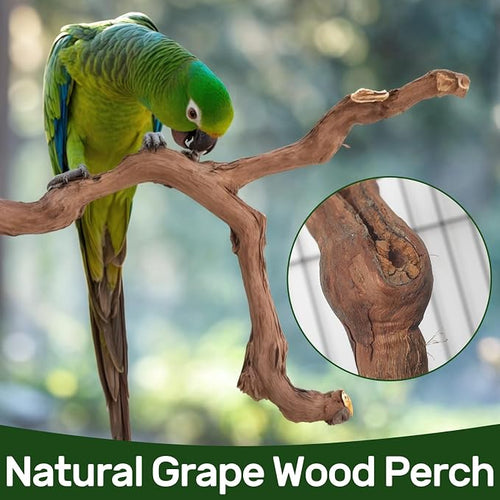 4-Piece Bird Perch Set with Rotating Ball Stand - Image 2