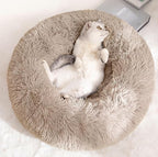 Cat Beds for Indoor Cats by Unknown