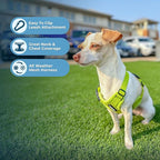 Best Pet Supplies Voyager Step-in Air All Weather Mesh Harness and Reflective - Image 5