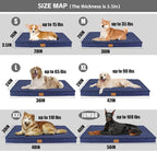 Patas Lague Orthopedic Jumbo Dog Bed - Image 5